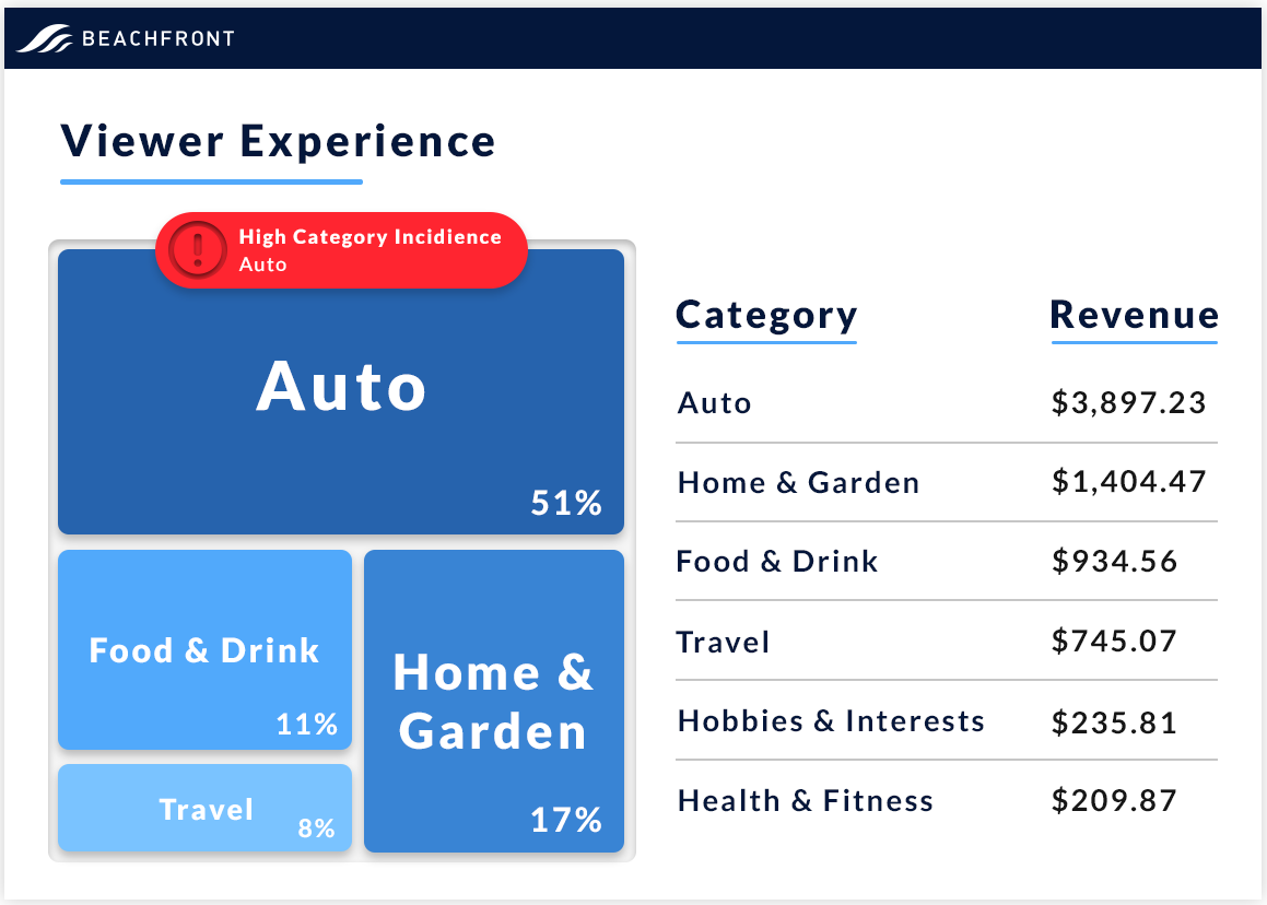 Viewer Experience